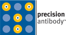 Precision Antibody